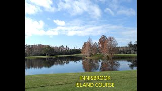 Innisbrook Island course [upl. by Annaihs]