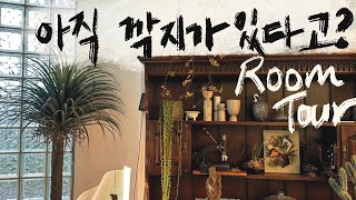 Room Tour 깍지가 아직도 있다고  신종튤립  반다 꽃  겨울에도 피는 생명체들  털이 있는 식물들 [upl. by Sarene]