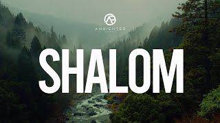 Shalom  Adoración Instrumental  Ambientes de Paz [upl. by Yadahs]