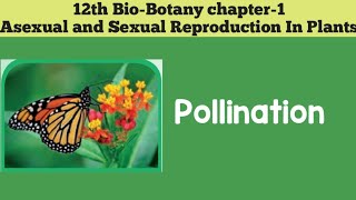 12th biobotany chapter1 Asexual And Sexual Reproduction In Plants POLLINATION 12th SCERT [upl. by Atalante]