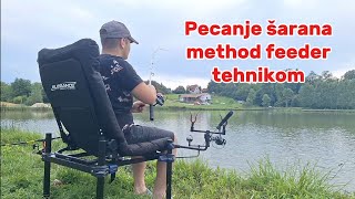 Pecanje šarana  method feeder tehnikom  jezero peca mladenovac [upl. by Todhunter609]