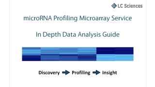 microRNA Microarray Service  In Depth Data Analysis Guide [upl. by Gove]