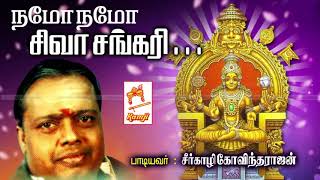 Seergali Govindarajan Devotional Song Namo Namo Siva Sankari நமோ நமோ சிவ சங்கரி [upl. by Jewell606]