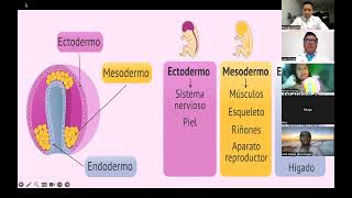 PROYEC MEDICINA 1 [upl. by Koralie]