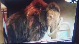 Woolie The Mammoth With Danny DeVito Voice [upl. by Aenaj]