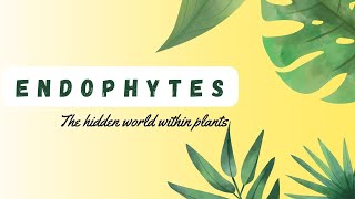 Endophytes Their role in Plant Growth Microbiology science Endophytes [upl. by Akirahc]