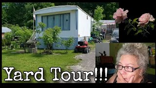 Join me on my yard tour while I talk too much 🤣🤣🤣 backyard divorcedwoman gardentour [upl. by Hcurab]