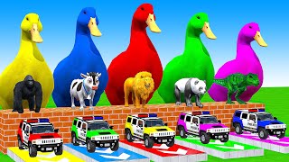 5 Giant Duck Cartoon Cow Mammoth Elephant Lion Paint Wild Animals Crossing Fountain Animation [upl. by Arvind]