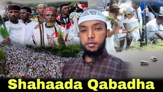 Gingilchaa Warii Irreecha Dheyixan Shahaada Qabadhaa ustaz muaz nazif ShahaadaQabadha [upl. by Nottnerb216]