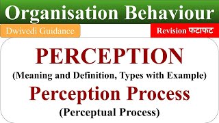 Meaning of Perception perception process perceptual process ob organisational behaviour [upl. by Lorre]