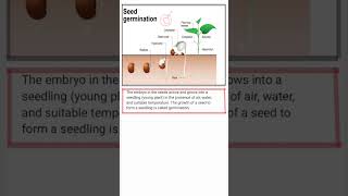 SEED GERMINATION biology icsebiology icsetextbook educational shorts [upl. by Darline358]