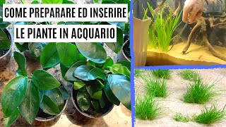 Come preparare ed inserire le PIANTE in ACQUARIO 🌱  Unboxing [upl. by Nahshon]