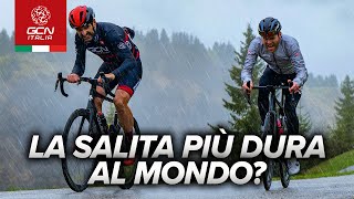 Zoncolan è la salita più dura del ciclismo moderno [upl. by Oinesra511]