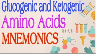 Glucogenic and Ketogenic Amino Acids MNEMONICS  Lecture 3 [upl. by Aynav]