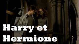 Détournement Harry Potter 6  Harry et Hermione [upl. by Zantos]