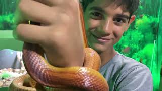 Visita a exposição da Trilogiabio 🐍 🦎 [upl. by Profant]