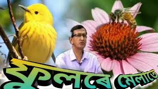 Phoole Melate ফুলৰে মেলাতে   by Pulok Benarji [upl. by Soo]