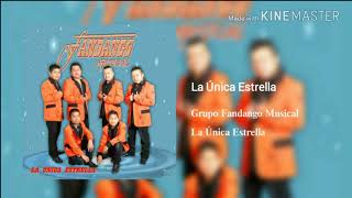 La Única Estrella  Grupo Fandango Musical [upl. by Amyaj]