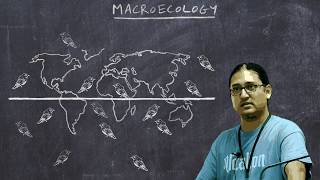 Basic Ornithology Macroecology [upl. by Xam]