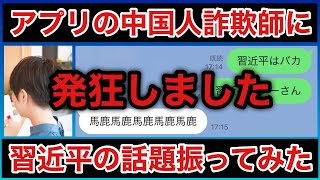 【中国人詐欺師に習近平の話題を振ったら発狂しました】 [upl. by Vlad]