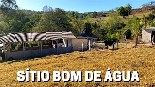 SÍTIO DE 43 HECTARES À VENDA EM PRATÁPOLIS  MG VALOR 250 MIL [upl. by Simonsen213]