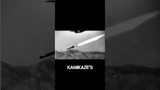 Hellcat vs Kamikaze The Ultimate Battle for Survival in WWII [upl. by Luis]