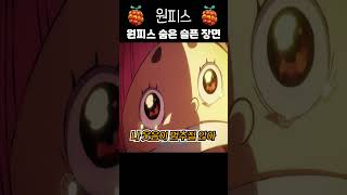 원피스 숨은 슬픈 장면 와노쿠니 토코 [upl. by Derwin]