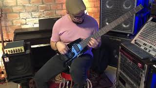 Steinberger Spirit XT25 Demo [upl. by Jessee935]