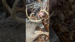 Is Your Broadhead Choice Hurting Your Deer Hunting Success deerhunting bowhunting [upl. by Stempien]