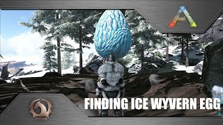 Ark Survival Evolved  Finding Ice Wyvern Egg  Nest locations Ragnarok [upl. by Rodriguez]