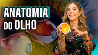 Anatomia do Olho  Como Funciona o Olho Humano [upl. by Kellene571]