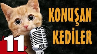 Konuşan Kediler 11  En Komik Kedi Videoları [upl. by Mandler498]