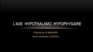 Axe Hypothalamo  Hypophysaire Histologie [upl. by Rafaello]