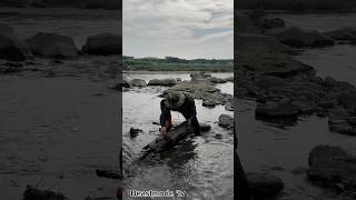 Amazing easy catch “Fish hiding under a fallen tree Snagged it right from its hiding spotshorts [upl. by Glanti]