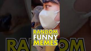 Random Funny Memes 🤣🤣🤣 Daily Funny Videos pt272 [upl. by Ynez535]