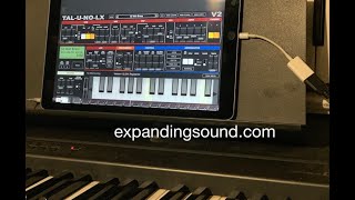 iOS Synth app  TALUNOLX  amazing analog synthesizer Juno 60 emulator sounds and modulation [upl. by Lennad]