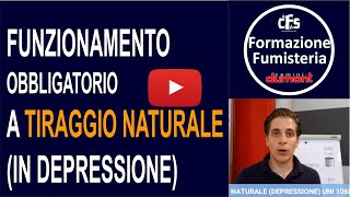 Video Funzionamento Tiraggio Naturale Depressione [upl. by Siegfried]