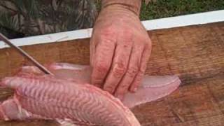 Skinning and Fileting a Catfish [upl. by Nolrev]