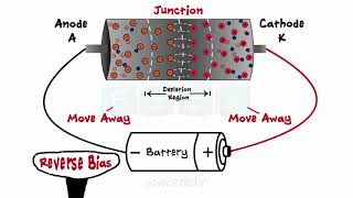 Diodes  What Are Diodes  PN Junction  Forward Bias  Reverse Bias  Zener Diodes [upl. by Jari]