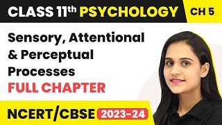 Sensory Attentional and Perceptual Processes  Full Chapter Explanation  Class 11 Psychology Ch 5 [upl. by Nnylyaj98]