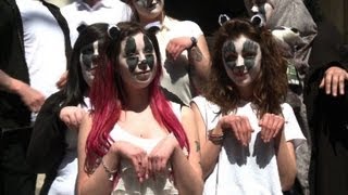 Flashmob protests against badger cull [upl. by Kronfeld]