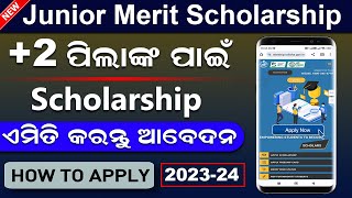 Junior Merit Scholarship 202324 Online Apply  How To Apply Odisha State Scholarship Online 2023 2 [upl. by Weidman171]