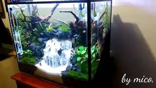 Terbaru 2018 aquascape waterfall bymico untuk tutorial pembuatan silahkan klik deskripsi [upl. by Starinsky193]