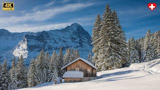 Winter in Grindelwald  dive into winter wonderland Switzerland 4K [upl. by Faucher]