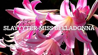 Miss Belladonna Sped Up  SLAYYYTER [upl. by Jammal]