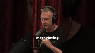 Everyone Should Take A Methylated Multivitamin with Gary Brecka and Joe Rogan [upl. by Nattirb]