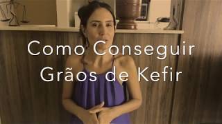 Como Conseguir Kefir  Onde Comprar e Como Conseguir Doação [upl. by Adal]