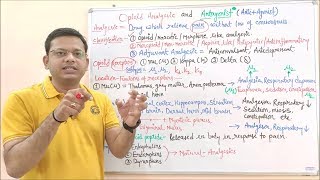 Opioid Analgesic amp Antagonist Part 02  Classification of Analgesic amp its Receptors  Opioid Drug [upl. by Yelwah]