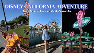 Day 2  Exploring Disney California Adventure Dinner At Paseo amp World of Colour One  August 2024 [upl. by Atirhs258]