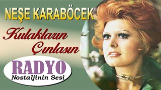 Neşe Karaböcek  Kulakların Çınlasın 1971 [upl. by Ackley38]